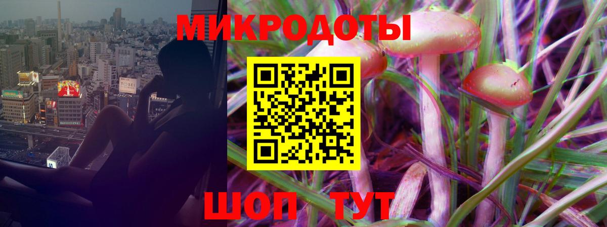 Псилоцибиновые грибы мицелий Холмск